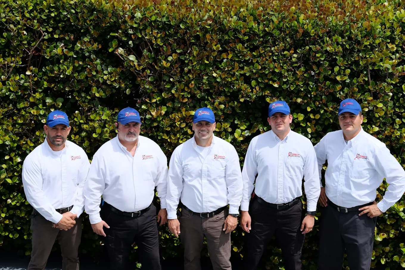Choosing the right pest control service in Miami - Direct Pest Solutions