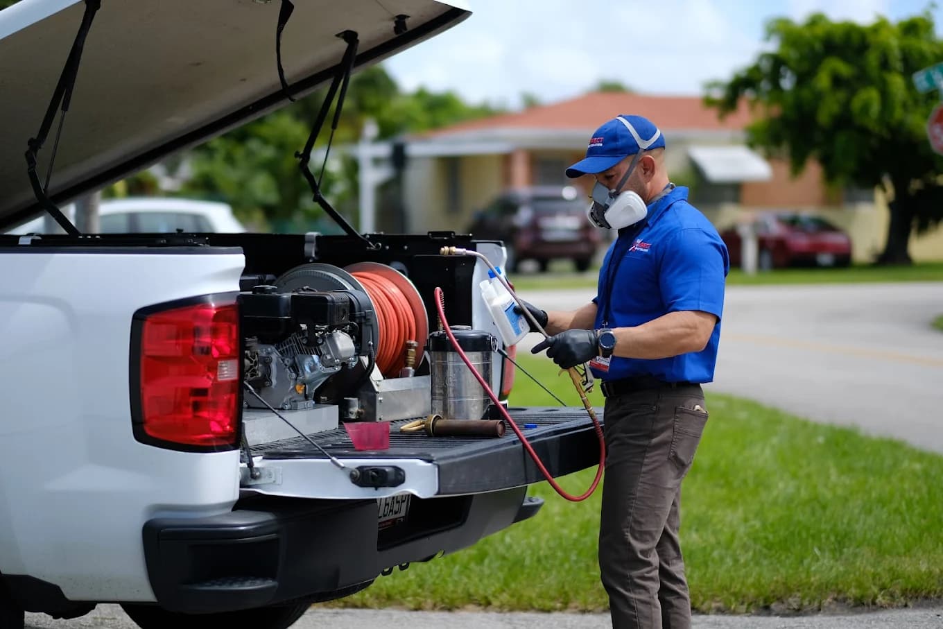 Termite Control & Inspection - Professional pest control services in Miami