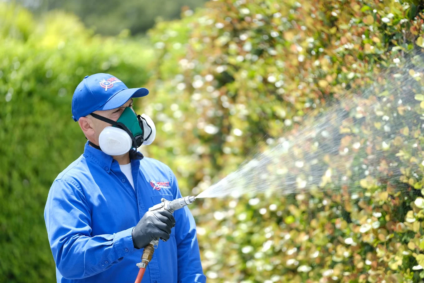Mosquito Control - Professional pest control services in Miami
